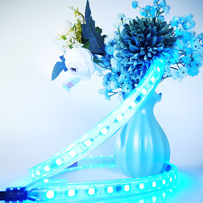 IP68 High-quality RGB color led strip light waterproof for pools